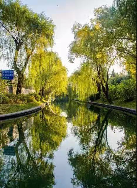 園林要怎麽樣設計才好看？告訴大家這個小技巧