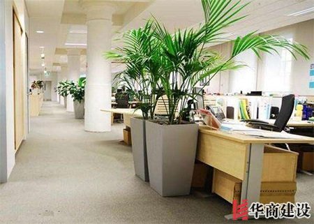 辦公室裝修的五大原則，原來要這樣設計！