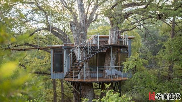 你敢住嗎，德克薩斯州中部“樹屋酒店”