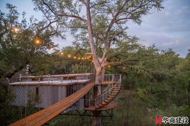 你敢住嗎，德克薩斯州中部“樹屋酒店”