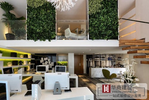 辦公室裝修中綠植是不可或缺的!爲什麽呢? 辦公室裝修中綠植是不可或缺的!爲什麽呢?